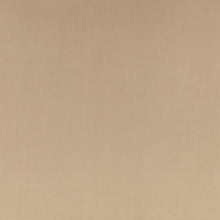 Z Suede Driftwood Z Suede Fabric by Zinc Textile