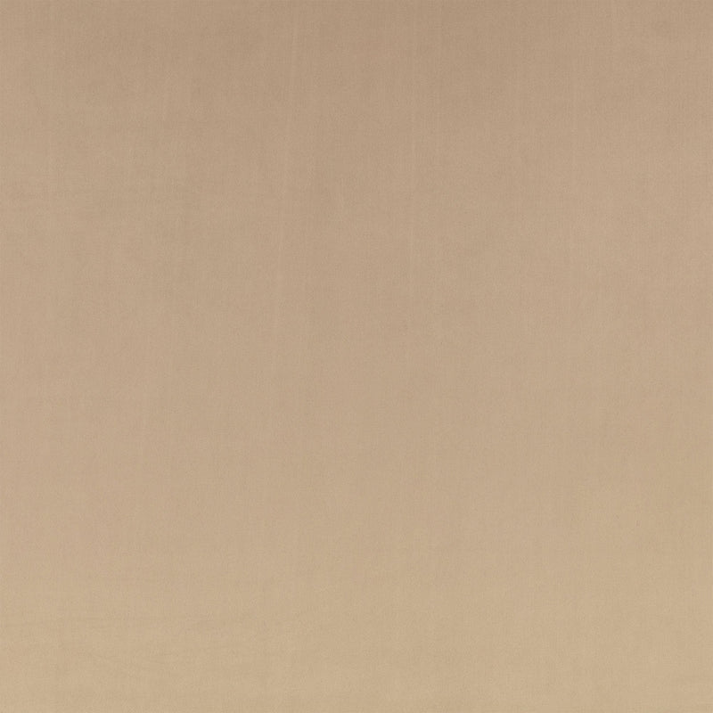 Z Suede Driftwood Z Suede Fabric by Zinc Textile