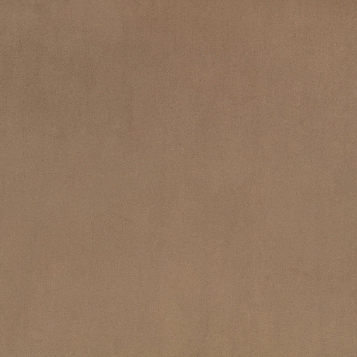 Z Suede Mole Z Suede Fabric by Zinc Textile