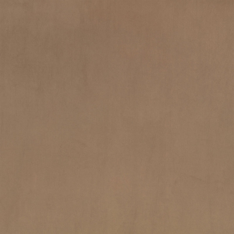 Z Suede Mole Z Suede Fabric by Zinc Textile