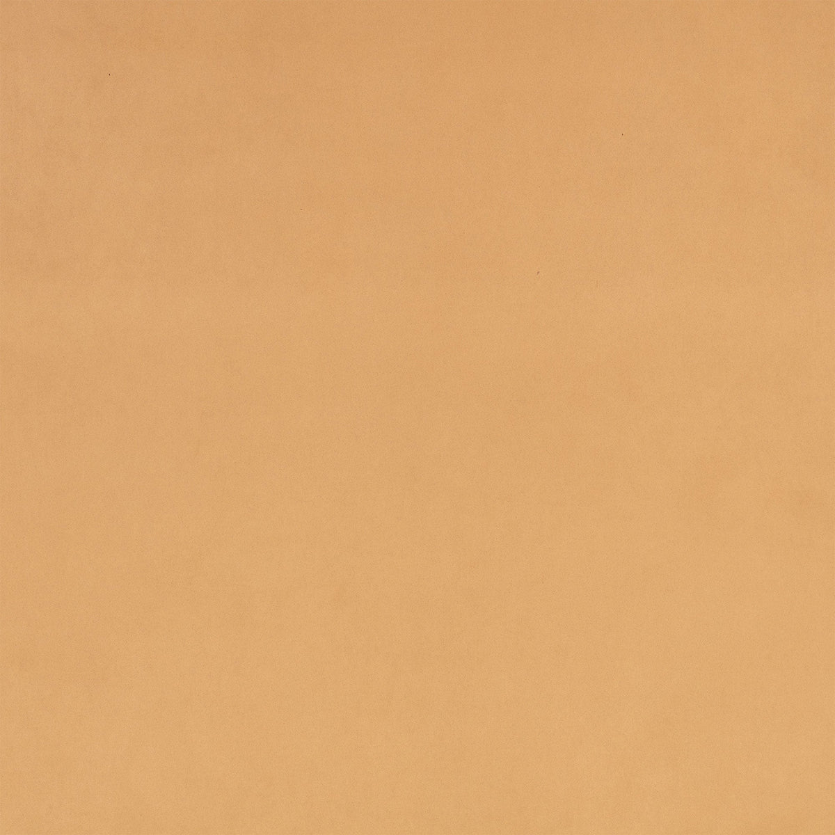 Z Suede Tobacco Z Suede Fabric by Zinc Textile