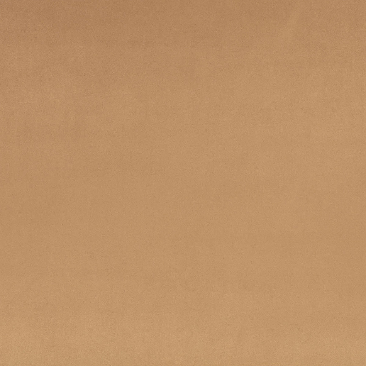 Z Suede Truffle Z Suede Fabric by Zinc Textile