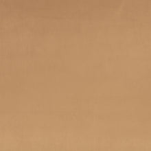Z Suede Truffle Z Suede Fabric by Zinc Textile