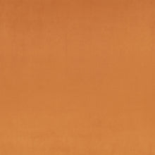Z Suede Tan Z Suede Fabric by Zinc Textile