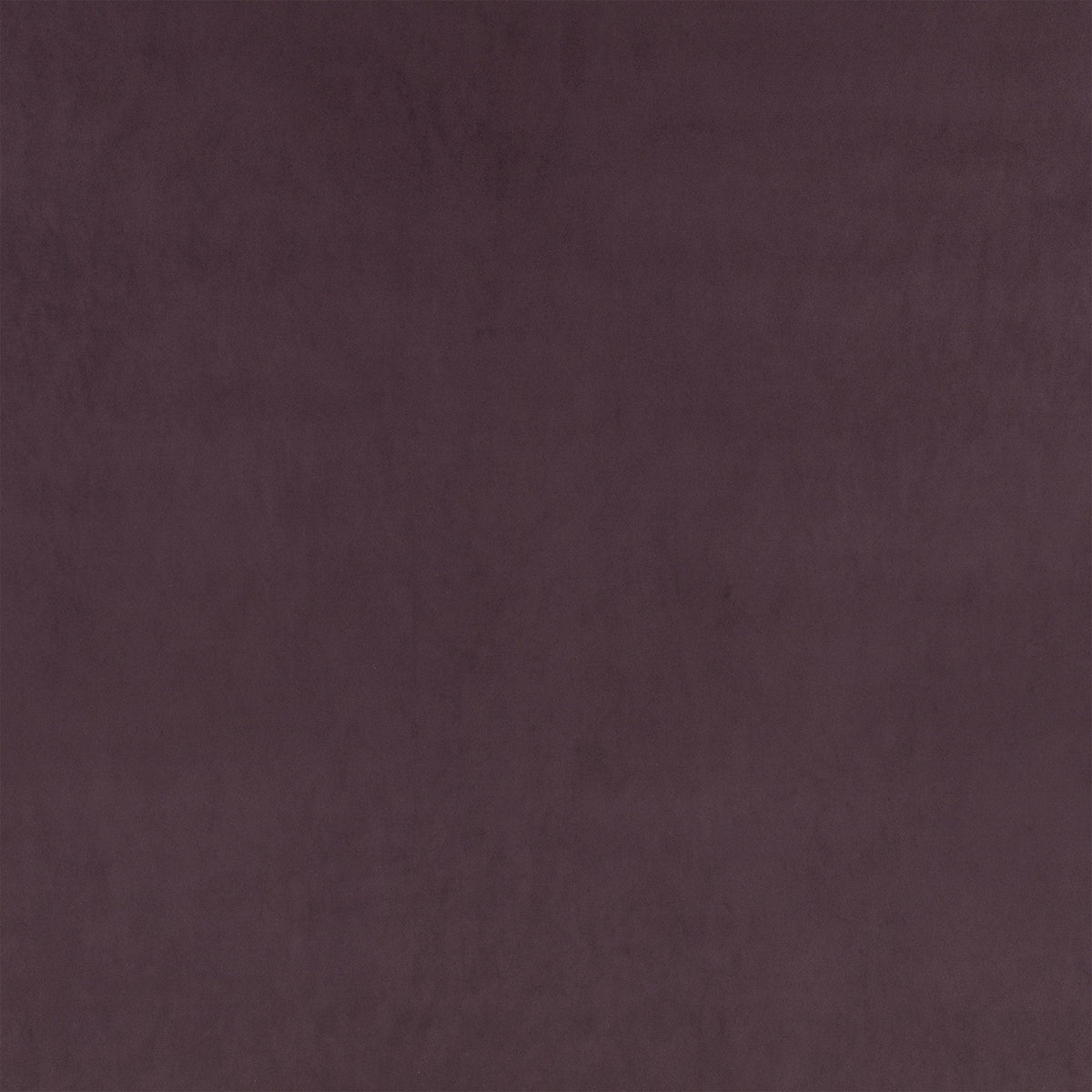 Z Suede Eggplant Z Suede Fabric by Zinc Textile