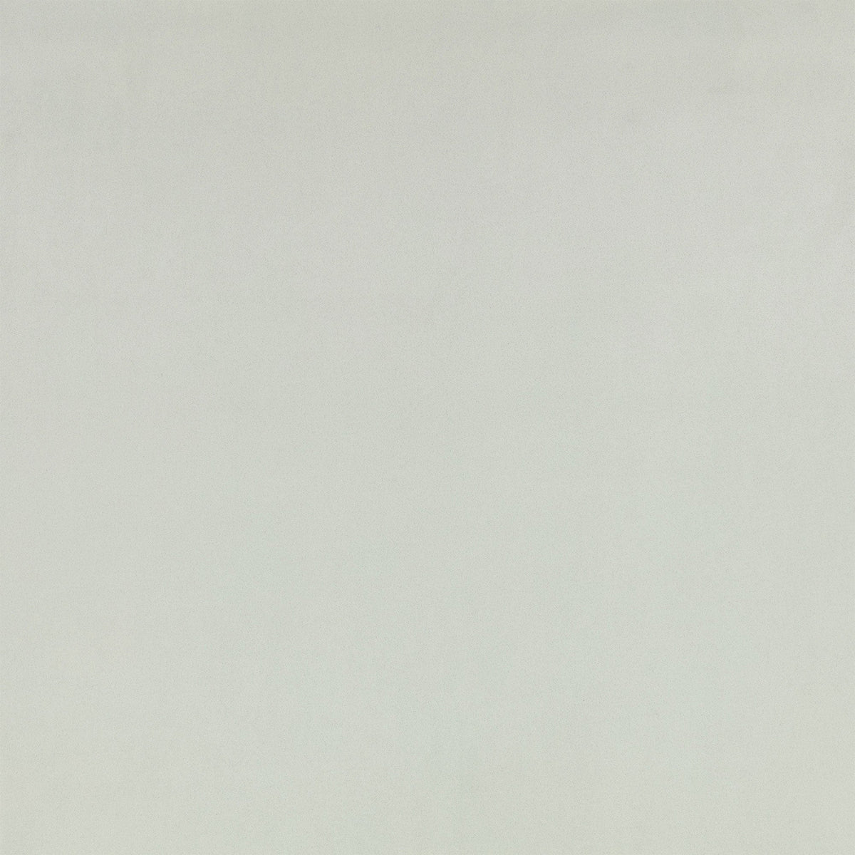 Z Suede Powder Z Suede Fabric by Zinc Textile