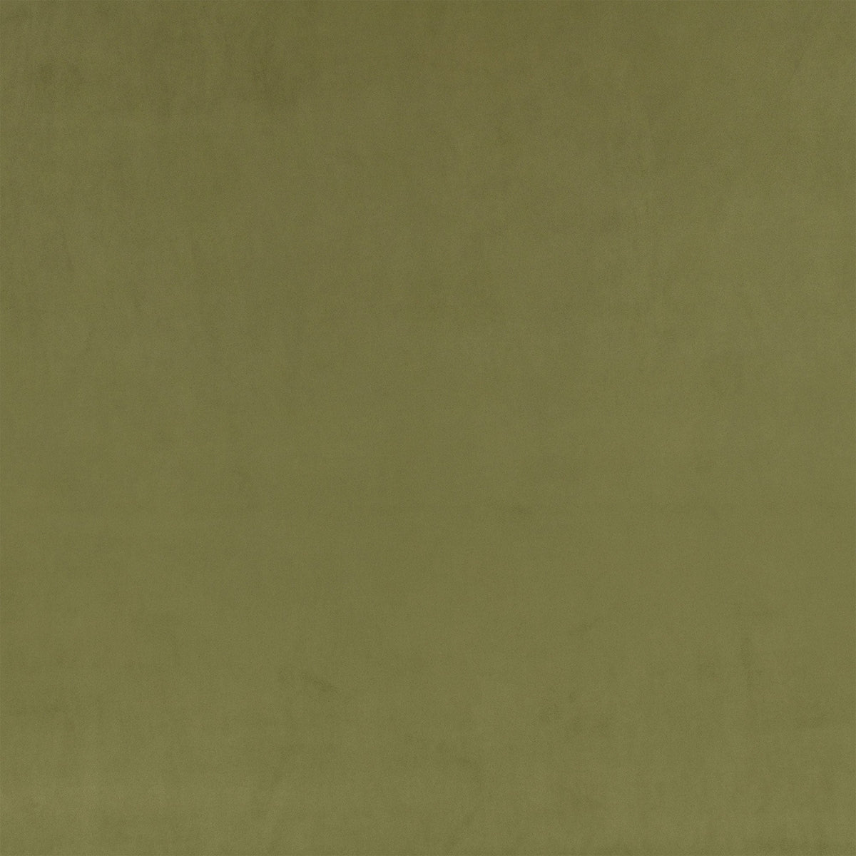 Z Suede Cypress Z Suede Fabric by Zinc Textile