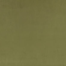 Z Suede Cypress Z Suede Fabric by Zinc Textile