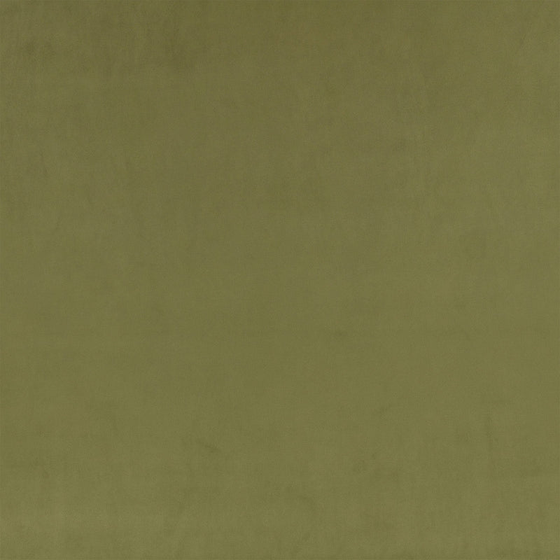 Z Suede Cypress Z Suede Fabric by Zinc Textile