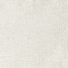 Z812/02 Clarendon Silver Grey Holland Park Fabric by Zinc Textile