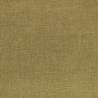 Z812/08 Clarendon Cypress Holland Park Fabric by Zinc Textile