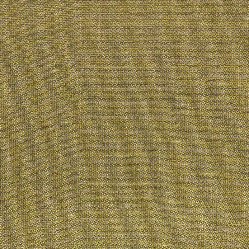 Z812/08 Clarendon Cypress Holland Park Fabric by Zinc Textile