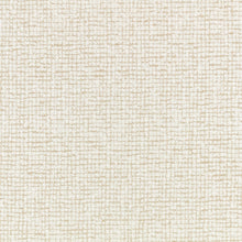 Z815/01 Barbudi Moonbeam Checkmate Fabric by Zinc Textile
