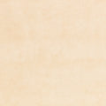 Chapinero FR Oyster Dieter Vander Velpen Velvets Fabric by Zinc Textile