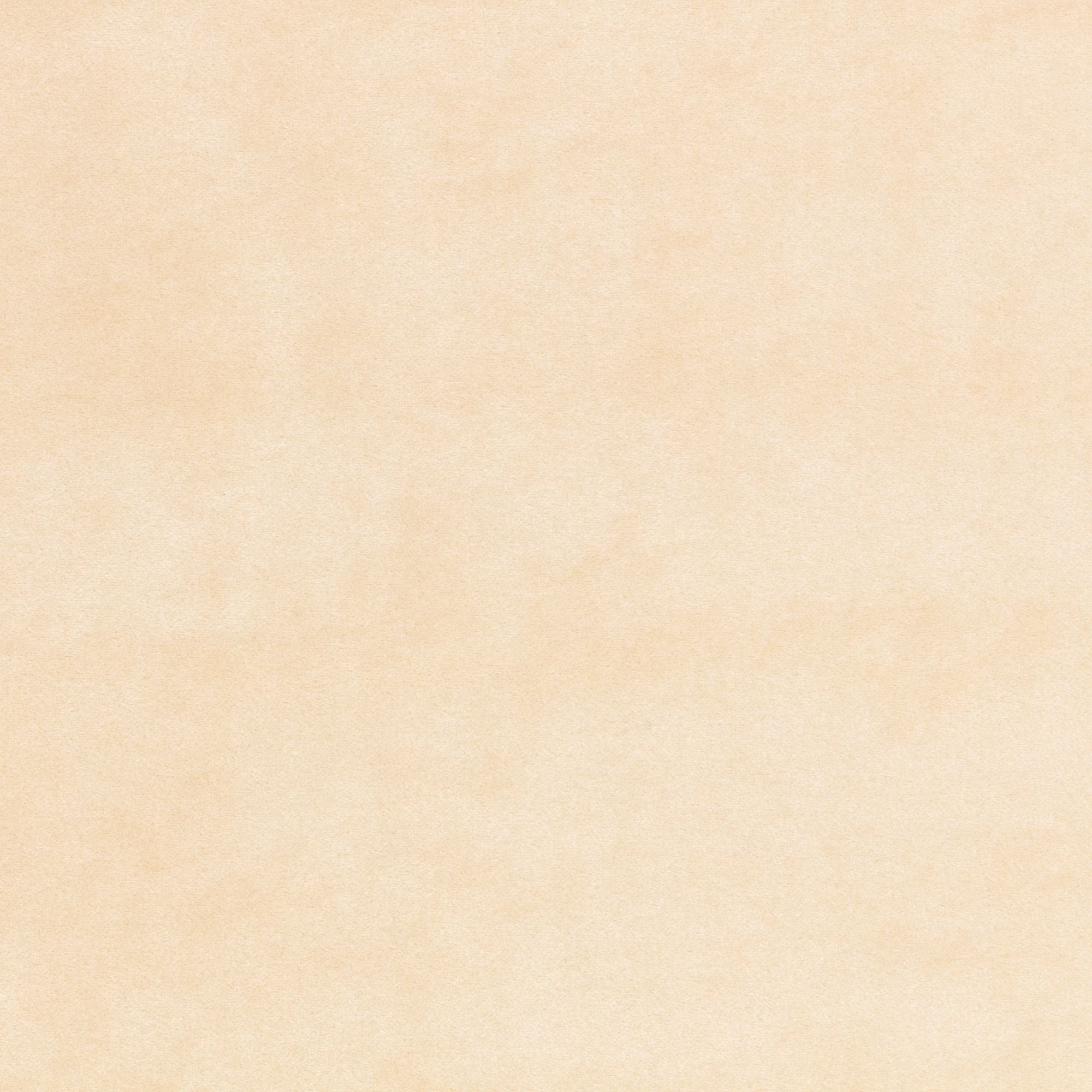 Z821/01 Chapinero FR Oyster Dieter Vander Velpen Velvets Fabric by Zin
