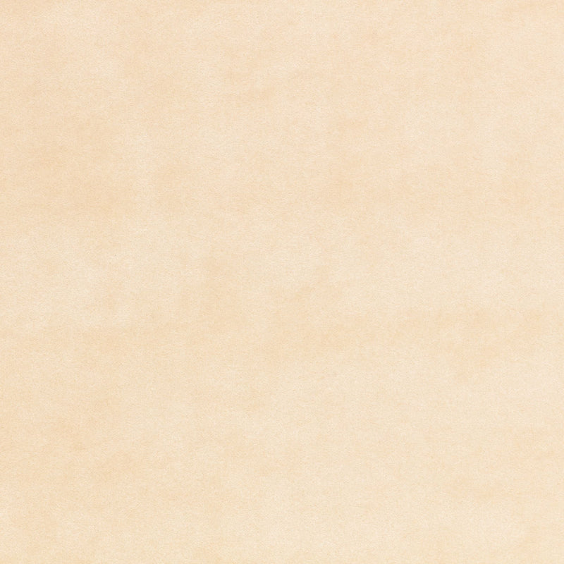 Z821/01 Chapinero FR Oyster Dieter Vander Velpen Velvets Fabric by Zin