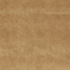 Z821/03 Chapinero FR Camel Dieter Vander Velpen Velvets Fabric by Zinc