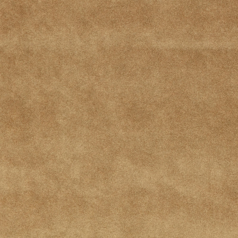 Z821/03 Chapinero FR Camel Dieter Vander Velpen Velvets Fabric by Zinc