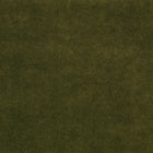 Z821/06 Chapinero FR Moss Dieter Vander Velpen Velvets Fabric by Zinc 