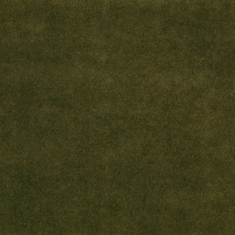 Z821/06 Chapinero FR Moss Dieter Vander Velpen Velvets Fabric by Zinc 