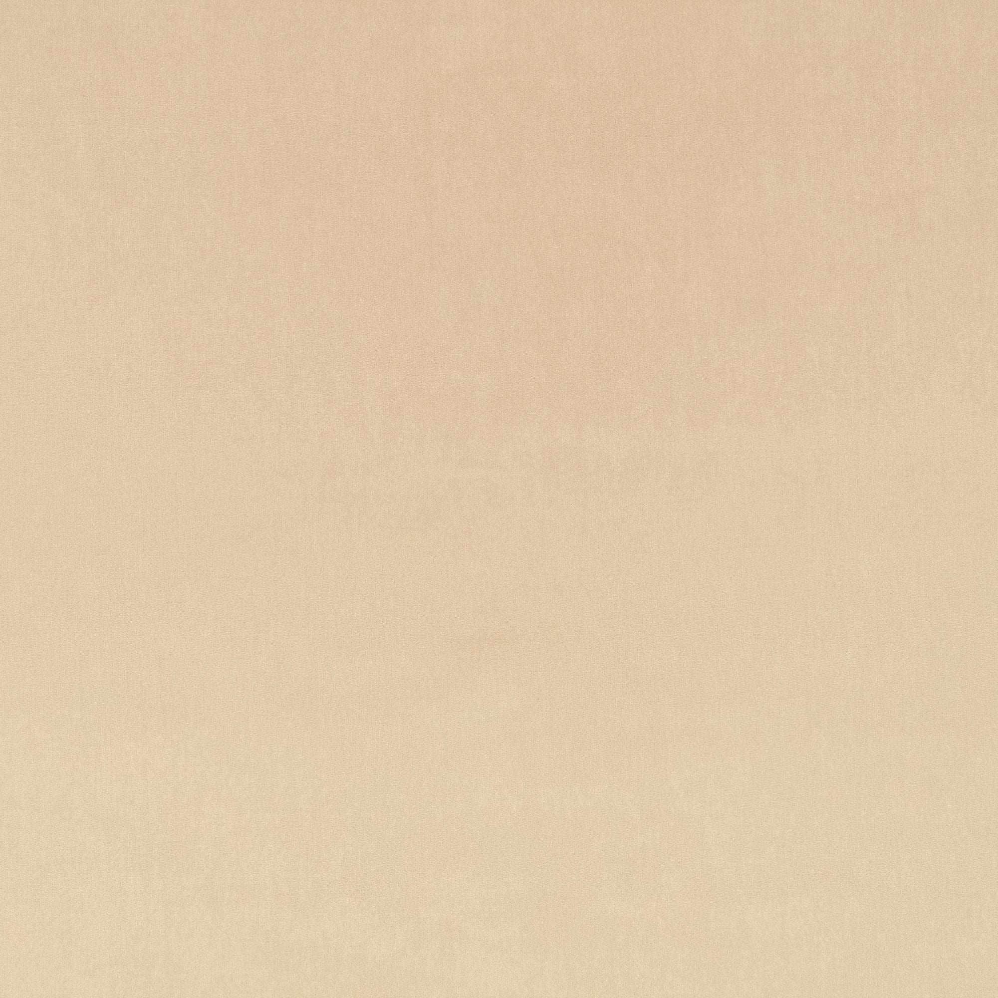 Z823/01 Turo Putty Dieter Vander Velpen Velvets Fabric by Zinc Textile