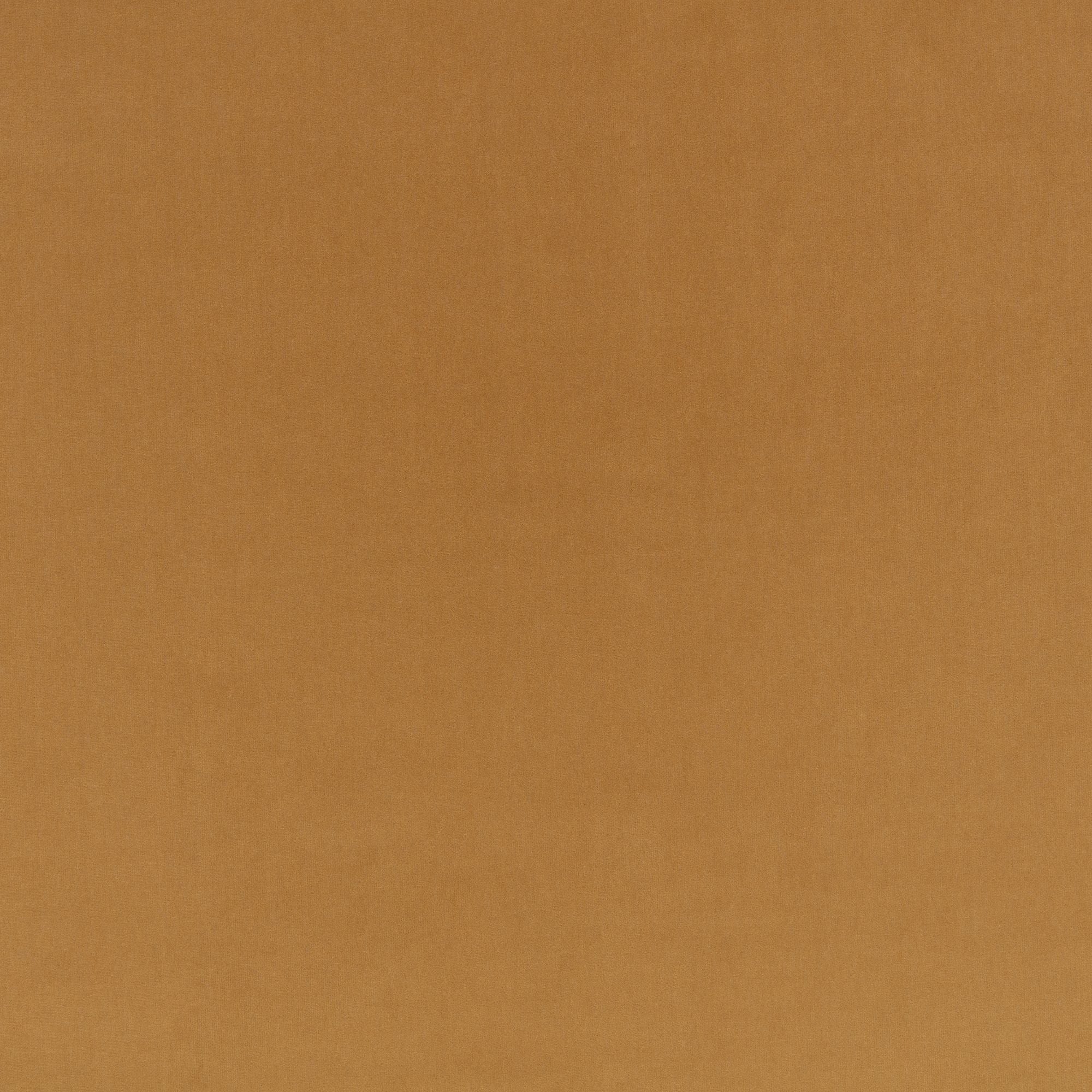 Z823/03 Turo Camel Dieter Vander Velpen Velvets Fabric by Zinc Textile