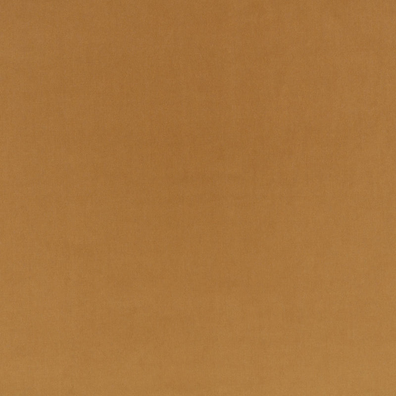 Z823/03 Turo Camel Dieter Vander Velpen Velvets Fabric by Zinc Textile