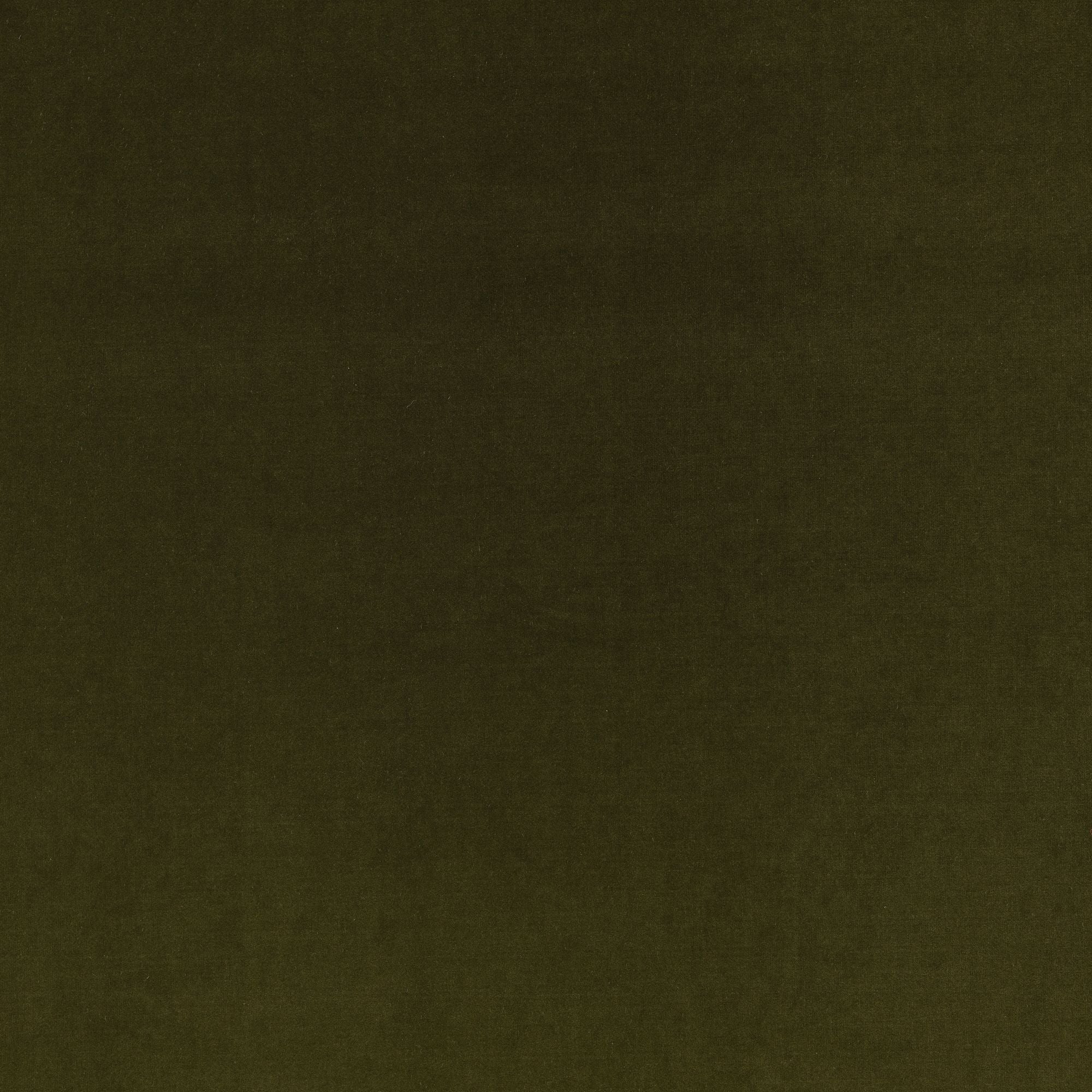 Z823/10 Turo Moss Dieter Vander Velpen Velvets Fabric by Zinc Textile