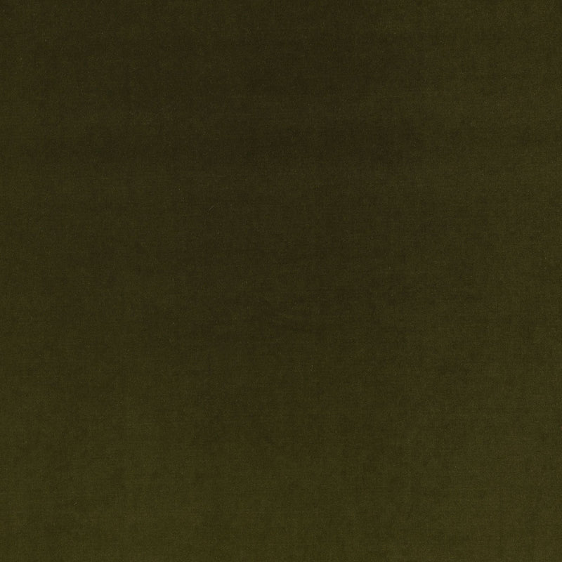 Z823/10 Turo Moss Dieter Vander Velpen Velvets Fabric by Zinc Textile