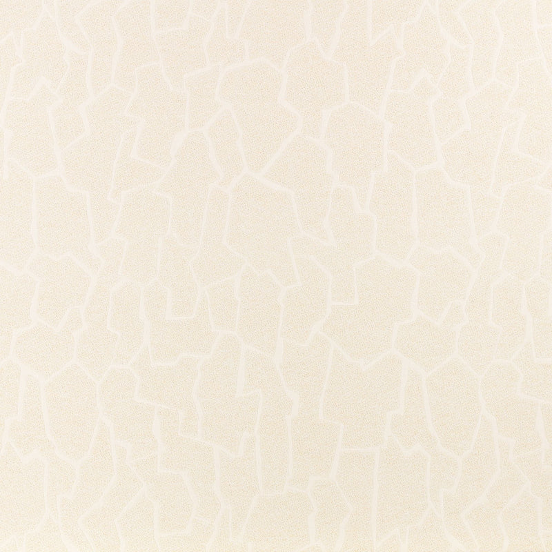 Z840/01 Gion Outdoor Ivory Dieter Vander Velpen Outdoor Fabric by Zinc