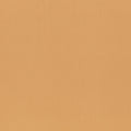 Paraty Camel Dieter Vander Velpen Weaves Fabric by Zinc Textile