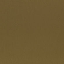 Z847/06 Paraty Moss Dieter Vander Velpen Weaves Fabric by Zinc Textile