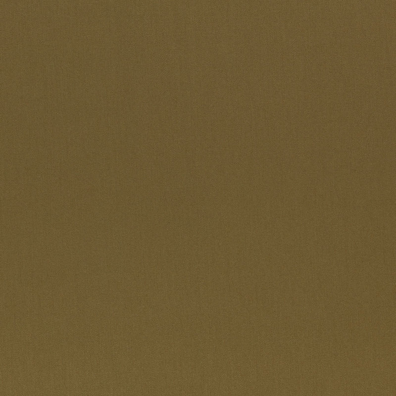 Z847/06 Paraty Moss Dieter Vander Velpen Weaves Fabric by Zinc Textile