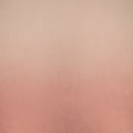Ventura Panel Plaster/ Guava Dieter Vander Velpen Weaves Fabric by Zinc Textile