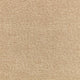 Gulou Camel Dieter Vander Velpen Textures Fabric by Zinc Textile