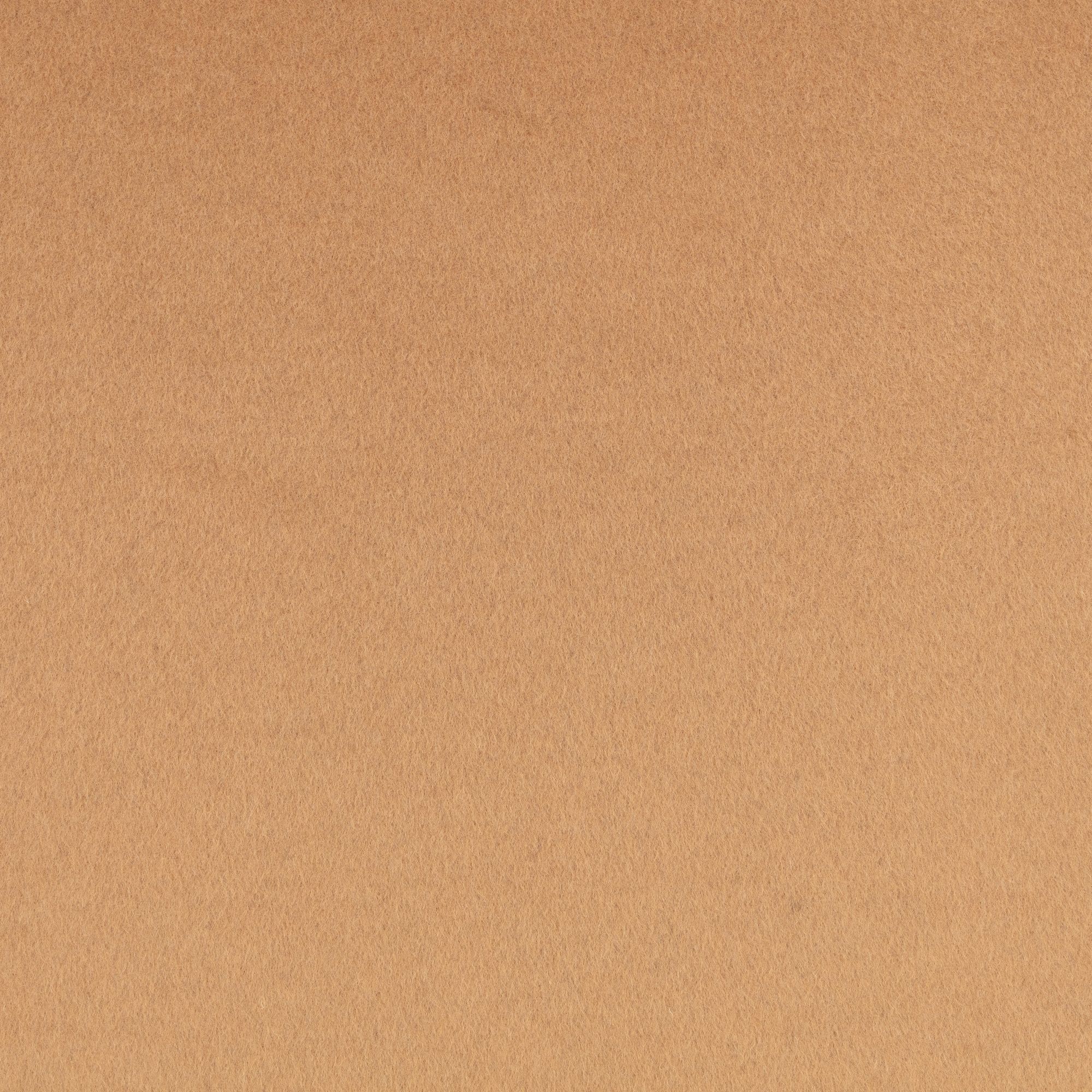 Z857/02 Teton Camel Dieter Vander Velpen Textures Fabric by Zinc Texti