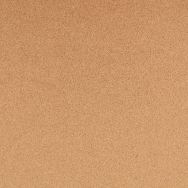 Z857/02 Teton Camel Dieter Vander Velpen Textures Fabric by Zinc Texti