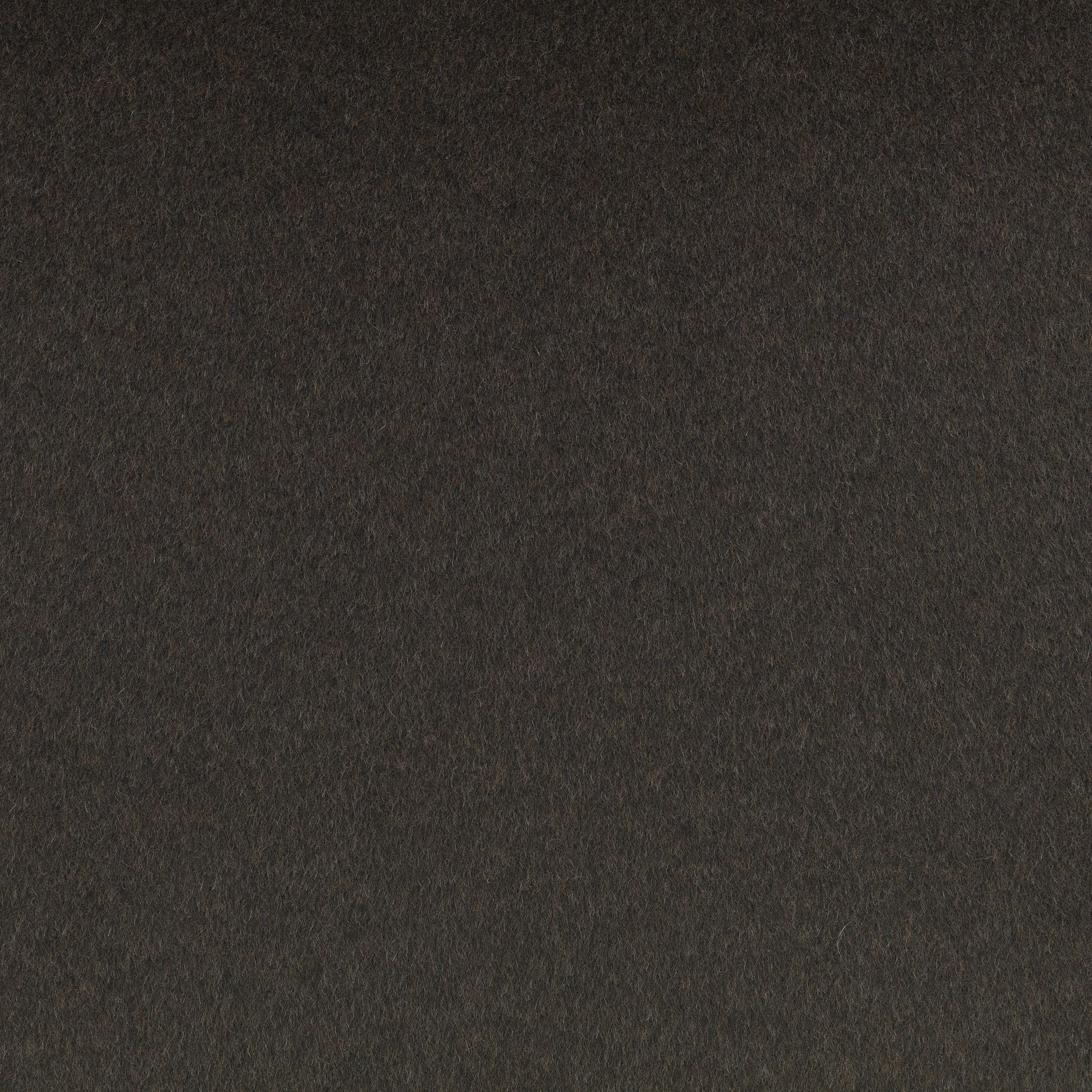 Z857/03 Teton Espresso Dieter Vander Velpen Textures Fabric by Zinc Te