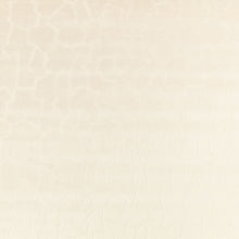 Z858/01 Gion FR Oyster Dieter Vander Velpen Textures Fabric by Zinc Te