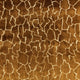 Gion FR Ginger Dieter Vander Velpen Textures Fabric by Zinc Textile