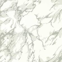 313026 French Marble Cotswolds Manor Empire Grey and Perfect White Wallpaper by Zoffany