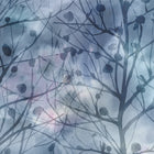 Zeus Midnight Wallpaper by Voyage Maison | ZEUS/WPO/MID