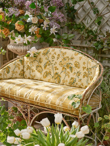 Thorny Vine Michael S. Smith Indoor Outdoor Fabric 