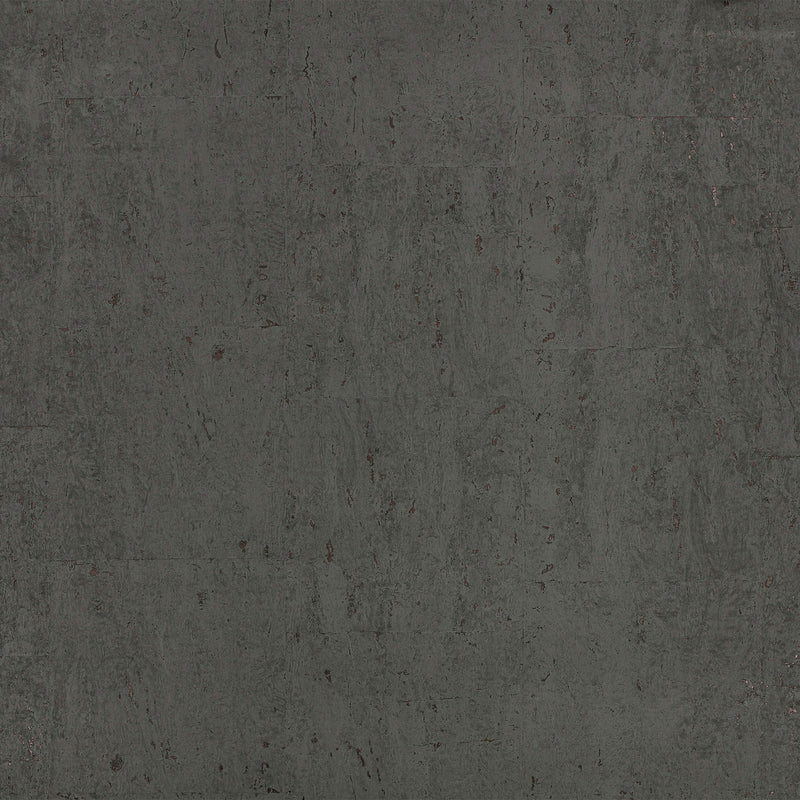 ZW144/07 Oolite Matt Caractère Obsidian Wallpaper by Zinc Textile
