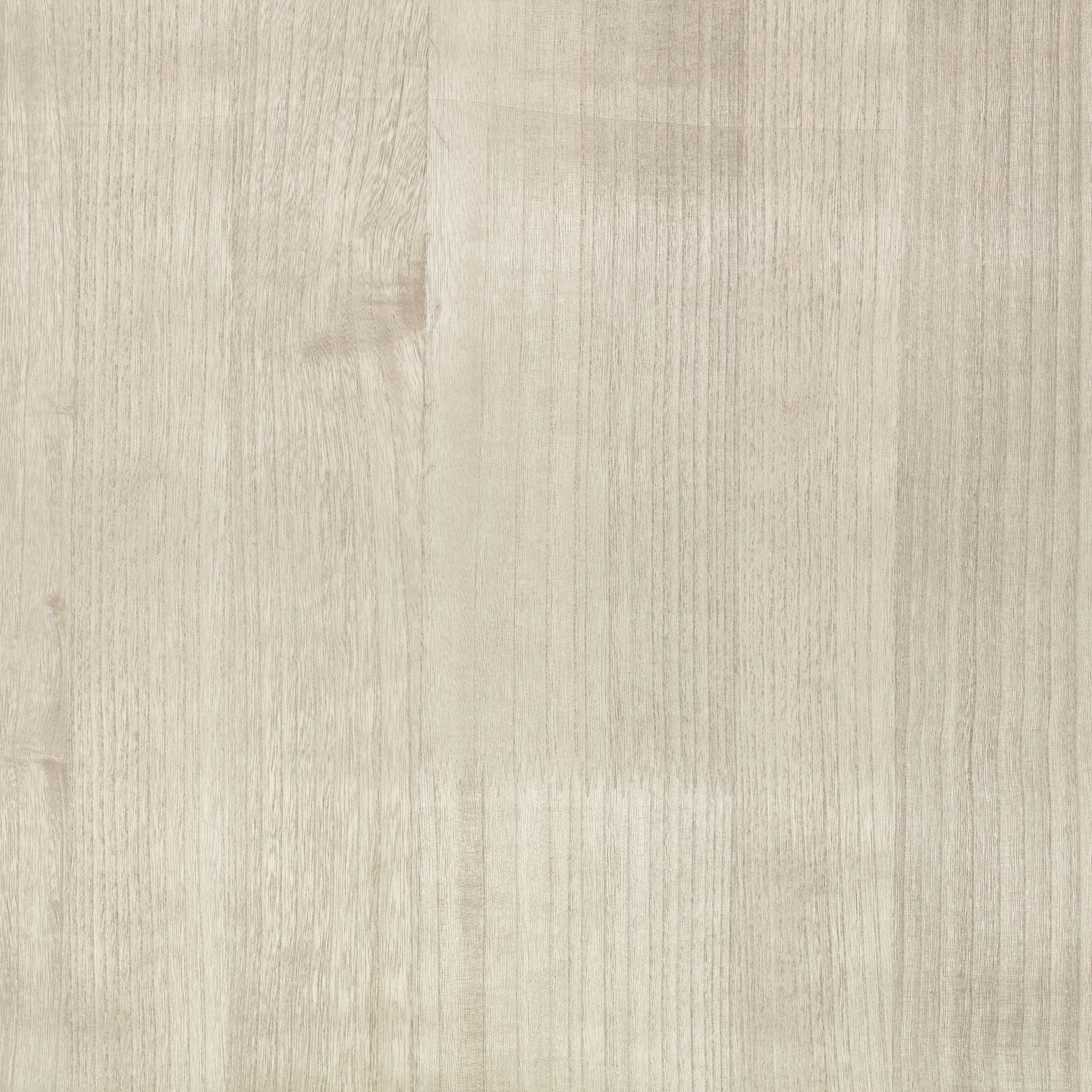 ZW148/01 Paulownia Moonbeam Wallpaper by Zinc