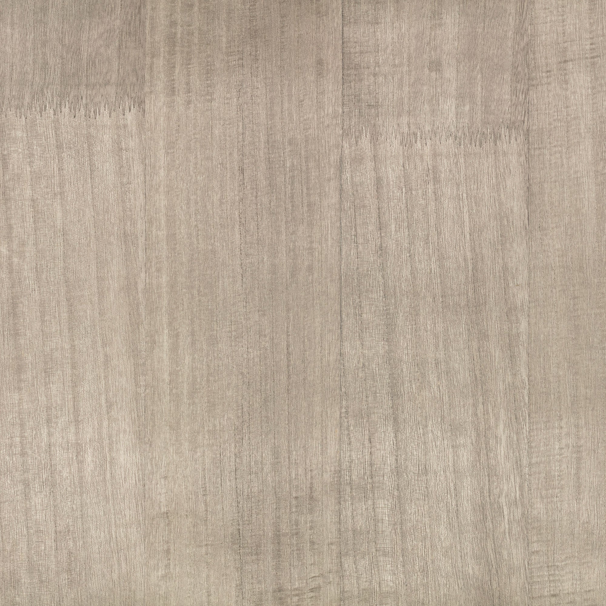 ZW148/02 Paulownia Silver Grey Wallpaper by Zinc