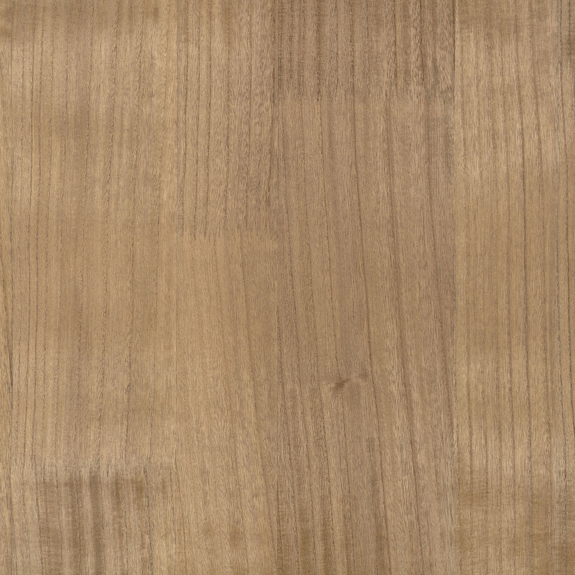 ZW148/03 Paulownia Tobacco Wallpaper by Zinc