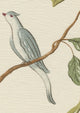 Adam's Eden Ivory Bare Bones Fabric by Lewis & Wood