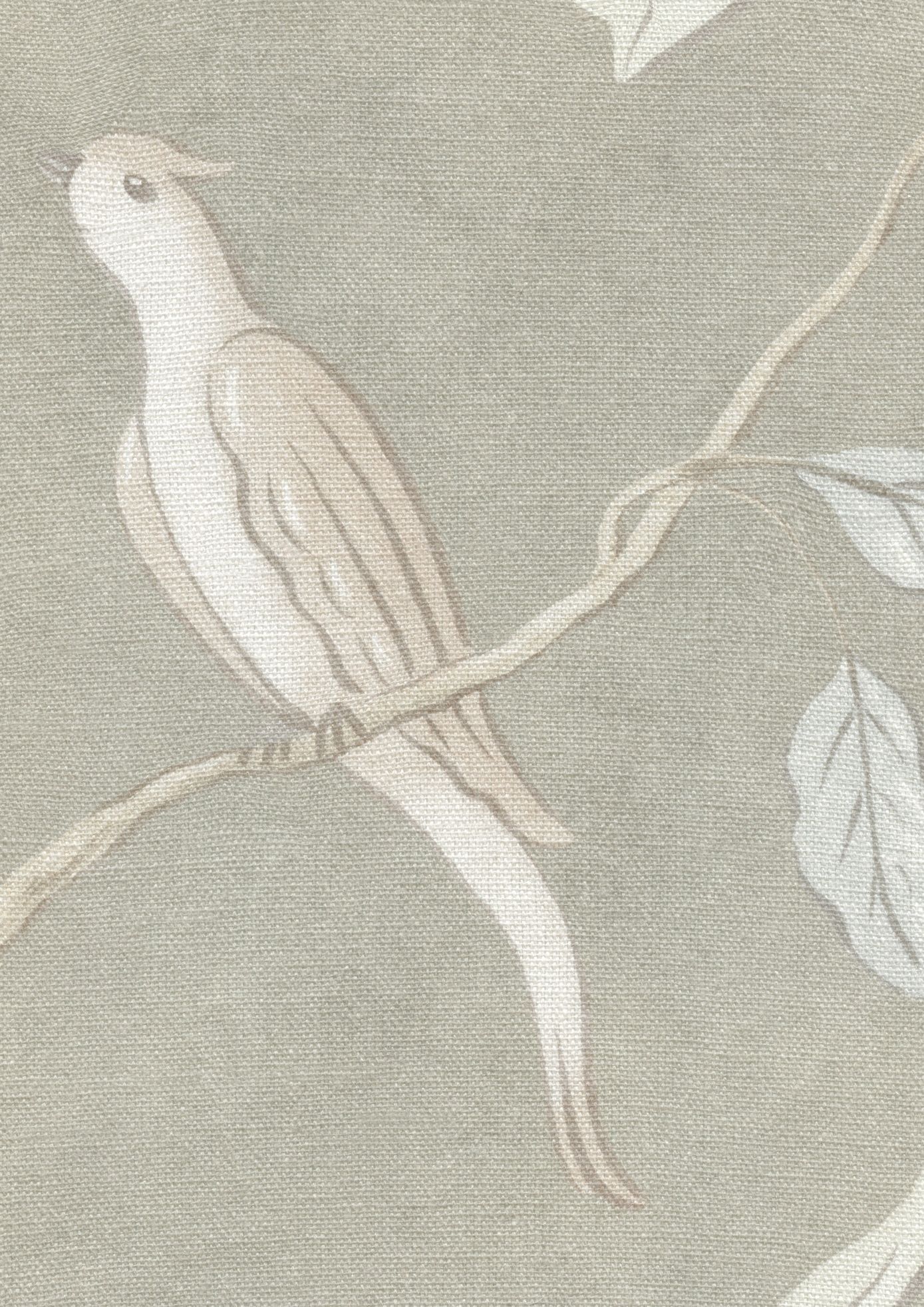 LW 132 570 Adam'S Eden Pumice Fabric by Lewis & Wood