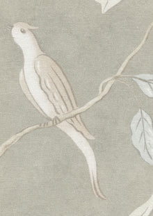 LW 132 570 Adam'S Eden Pumice Fabric by Lewis & Wood